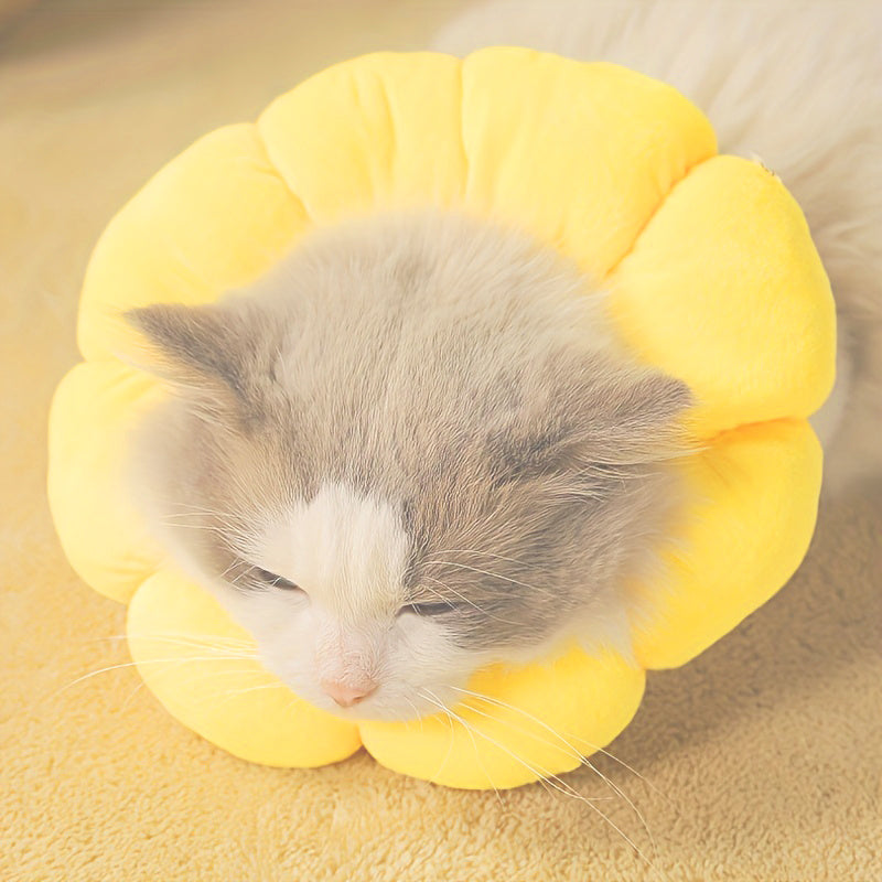 Cat Small Dog Recovery Collar
