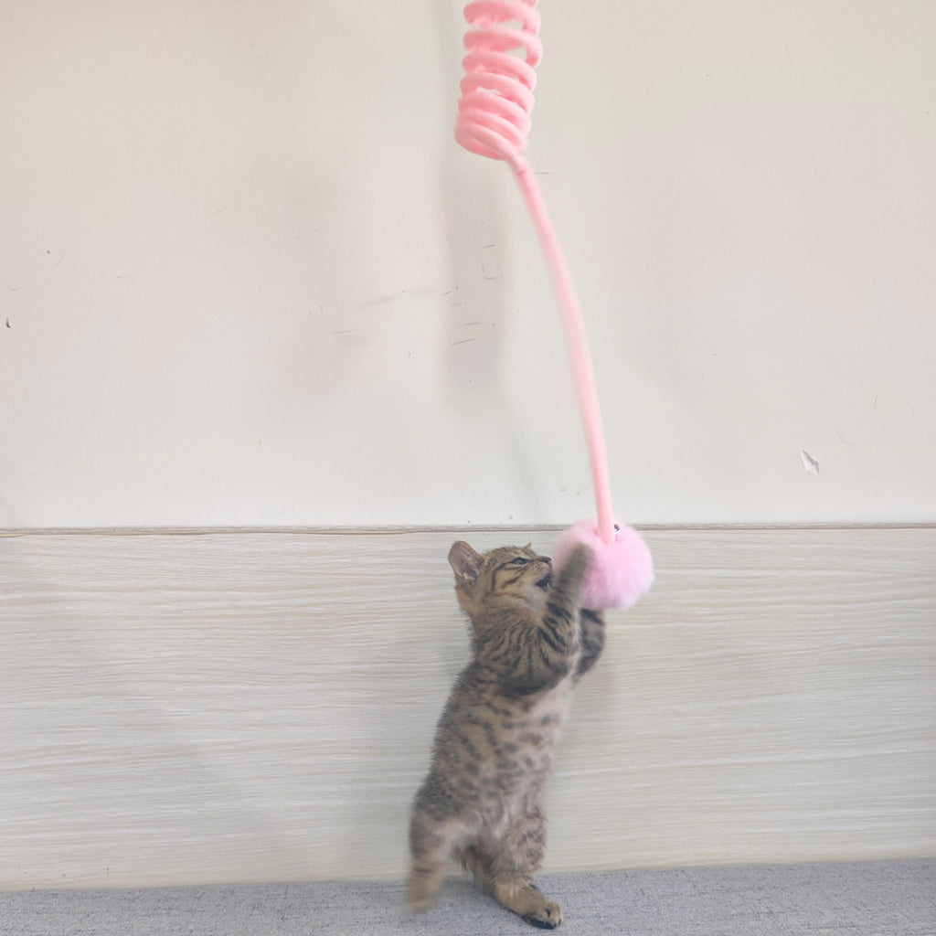 Cat Toy Self-Hi Sucker Spring
