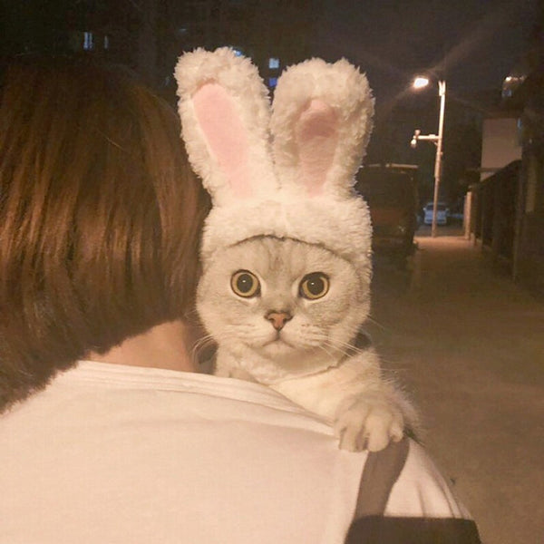Funny Pet Dog Cat Cap Cosplay