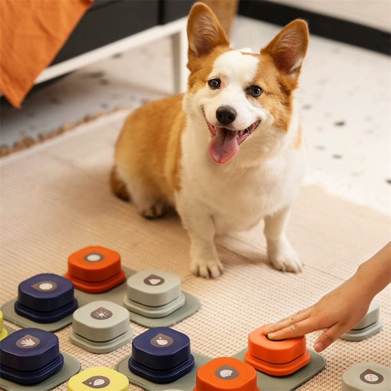 4 Colors Pet Communication Button