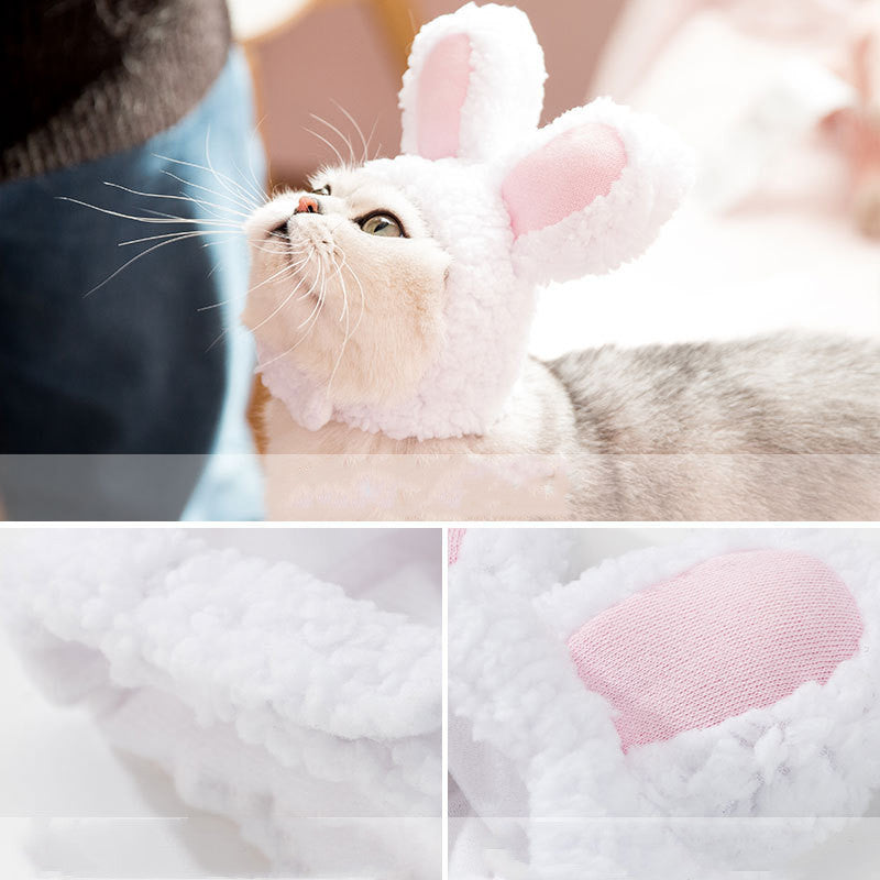 Funny Pet Dog Cat Cap Cosplay