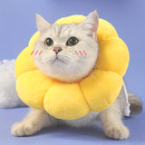 Cat Small Dog Recovery Collar