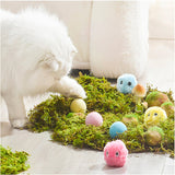 Kitty Calling Ball Toy