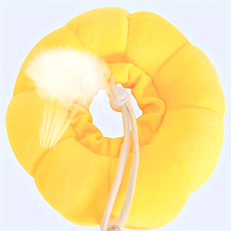 Cat Small Dog Recovery Collar