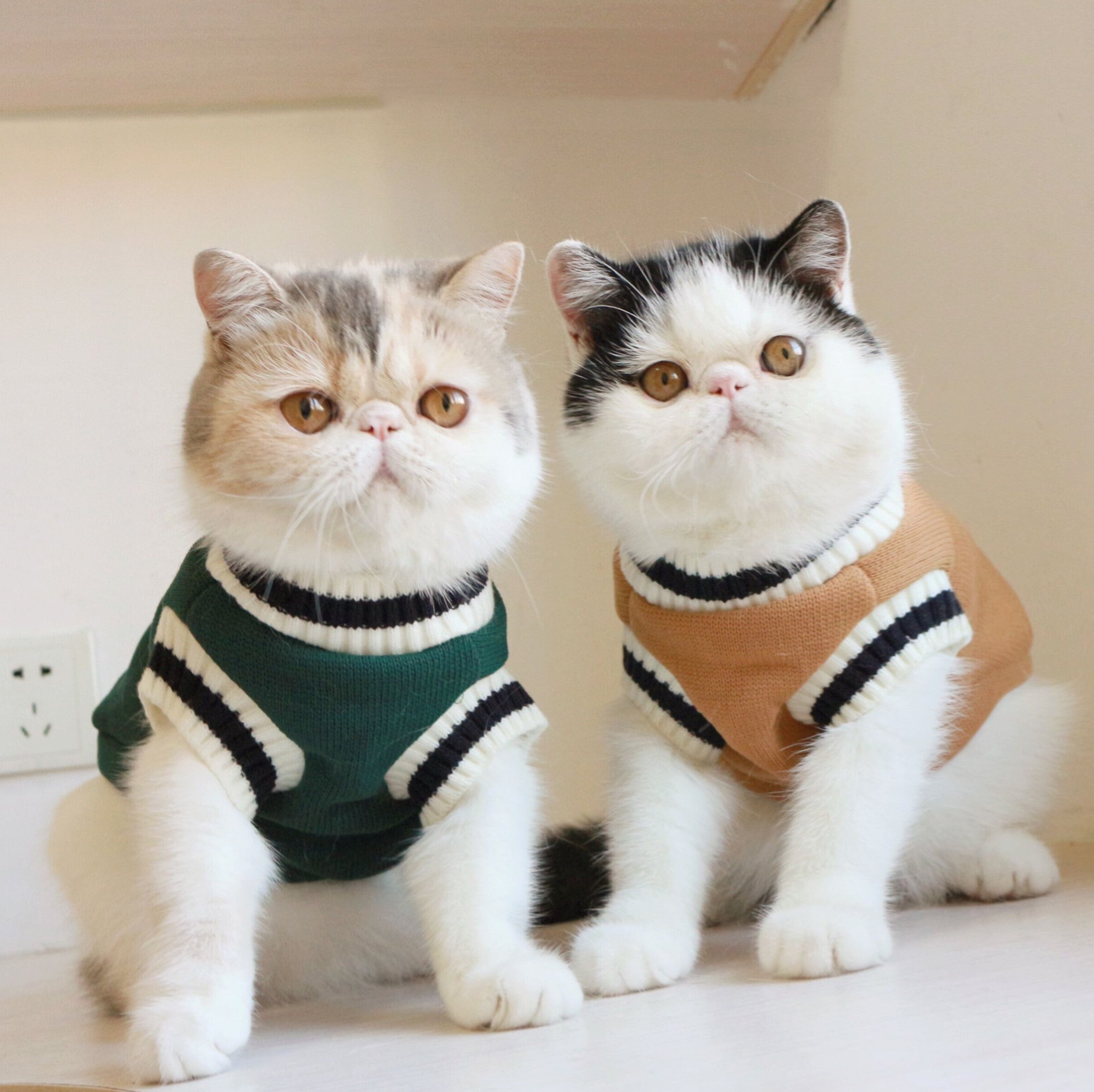 American College Style Cat Knit Sweater
