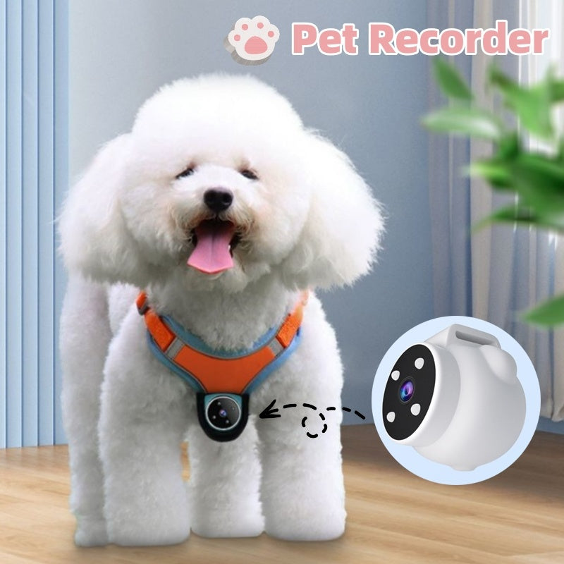 Pets Recorder Pet Tracker Collar for Cats