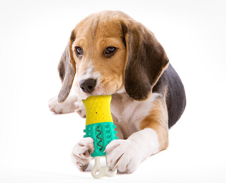 Cleaning  Care  Teeth Pet Chewing