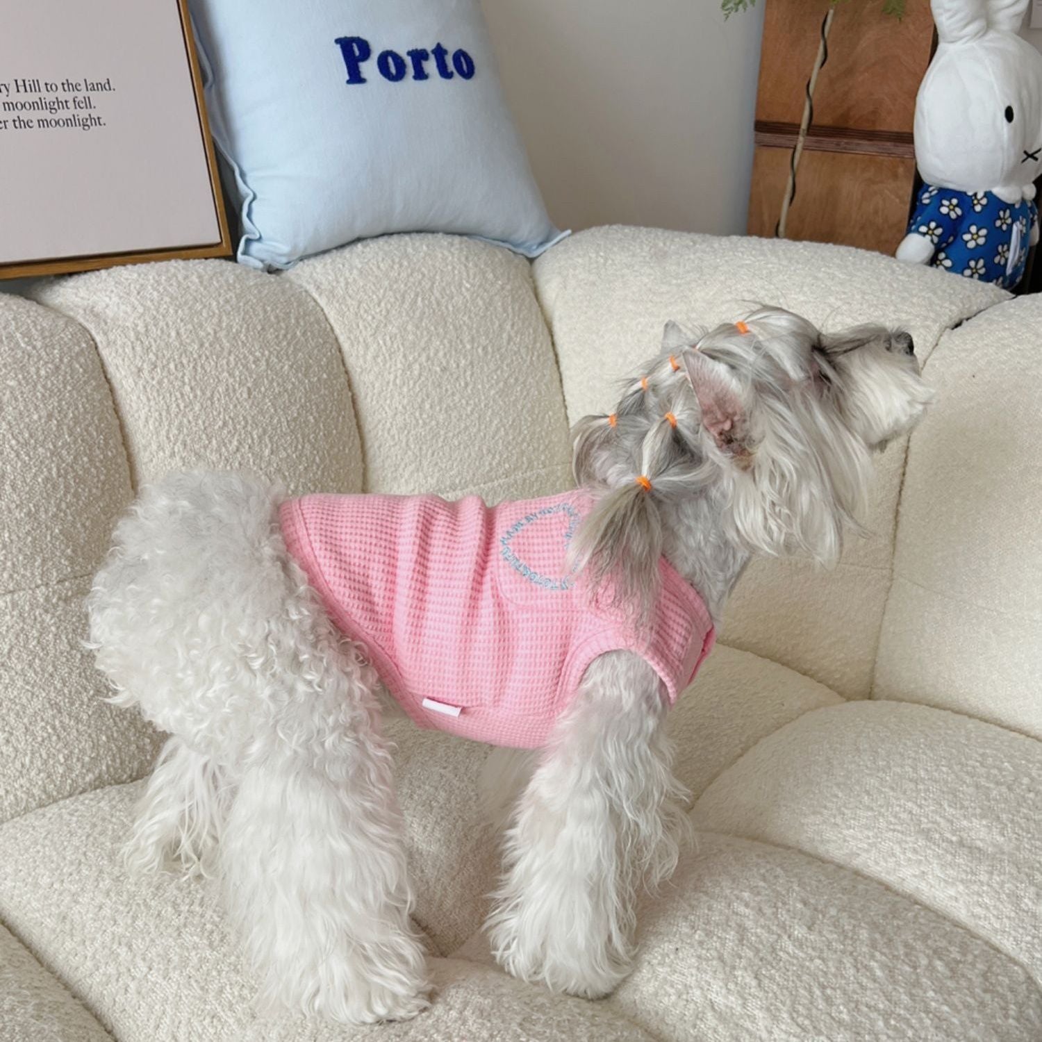 Fashion Pet Vest Clothing
