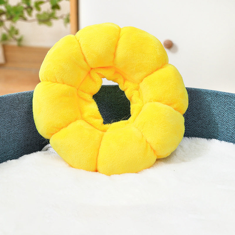 Cat Small Dog Recovery Collar