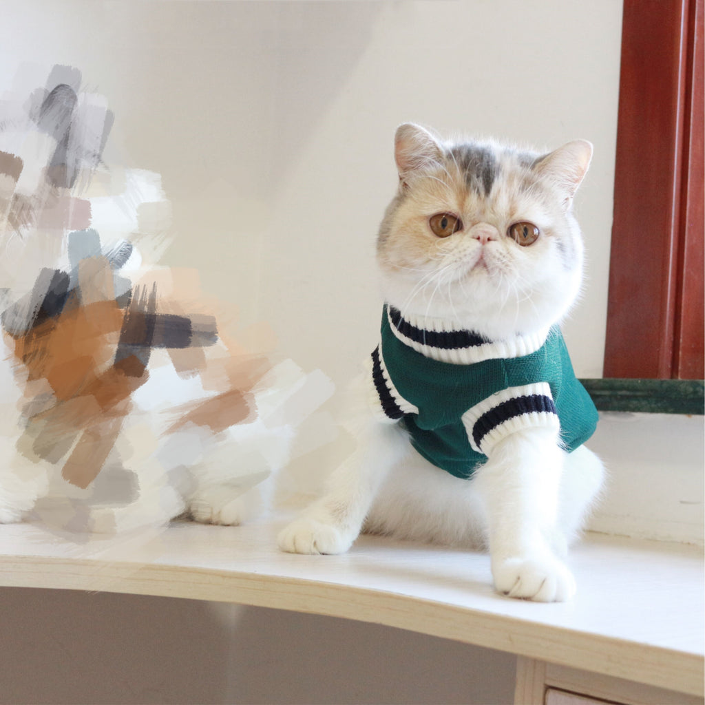 American College Style Cat Knit Sweater